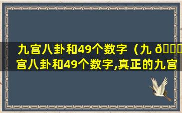 九宫八卦和49个数字（九 🐋 宫八卦和49个数字,真正的九宫八卦图）